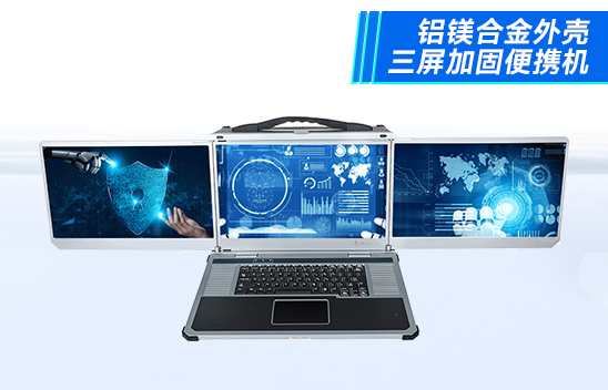 17.3英寸三屏便携机|移动工作站|DTG-LD173-SC612EA