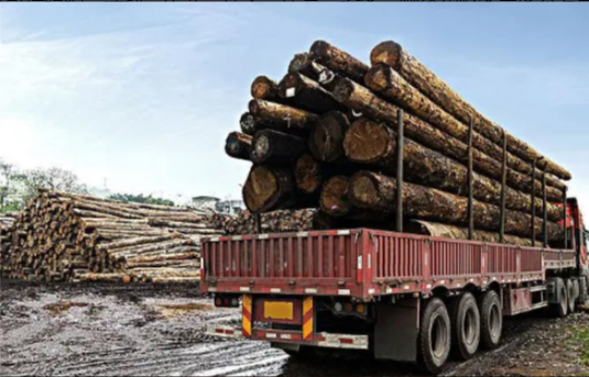 农林行业-木材运输管理概述.png